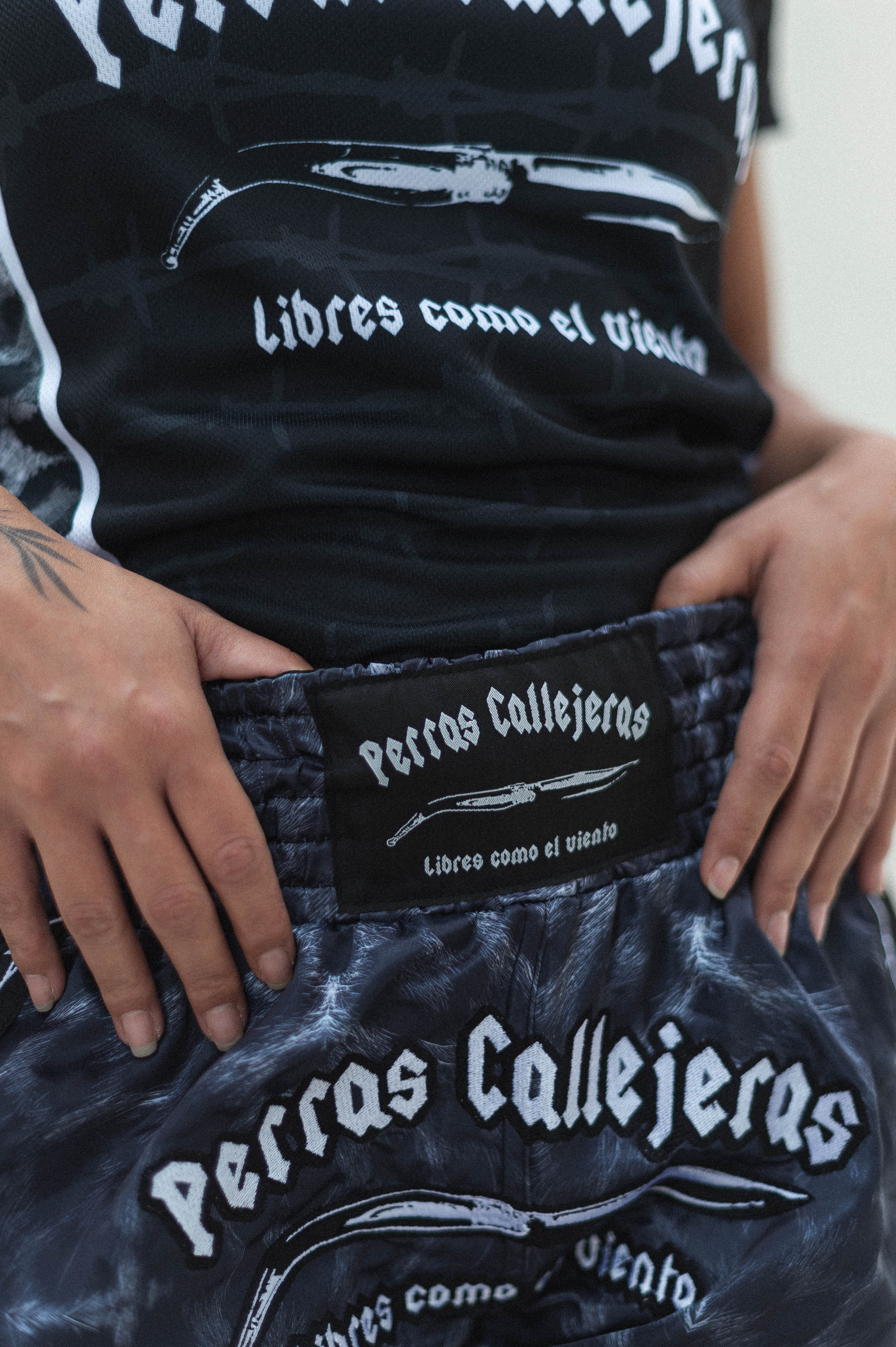 Imagen del producto 5